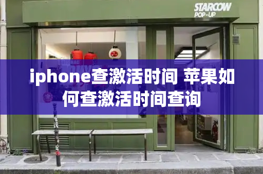 iphone查激活时间 苹果如何查激活时间查询-第1张图片-星选测评