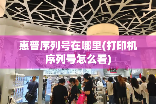 惠普序列号在哪里(打印机序列号怎么看)