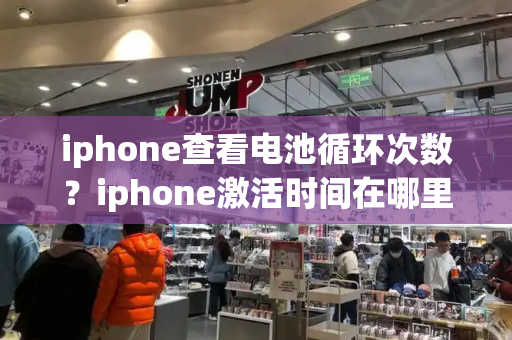 iphone查看电池循环次数？iphone激活时间在哪里看