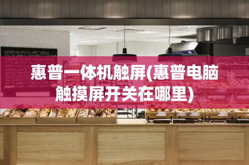 惠普一体机触屏(惠普电脑触摸屏开关在哪里)