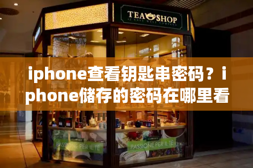 iphone查看钥匙串密码？iphone储存的密码在哪里看