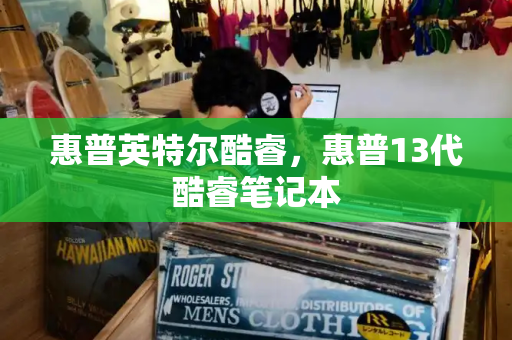 惠普英特尔酷睿，惠普13代酷睿笔记本-第1张图片-星选测评