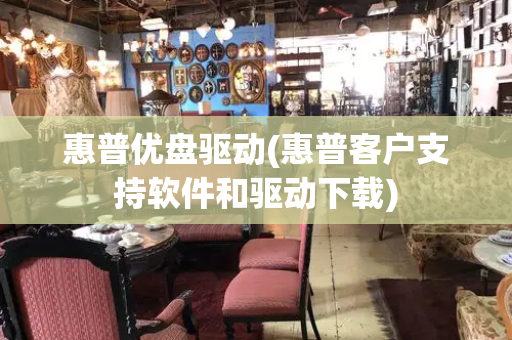惠普优盘驱动(惠普客户支持软件和驱动下载)-第1张图片-星选测评
