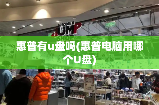 惠普有u盘吗(惠普电脑用哪个U盘)-第1张图片-星选测评