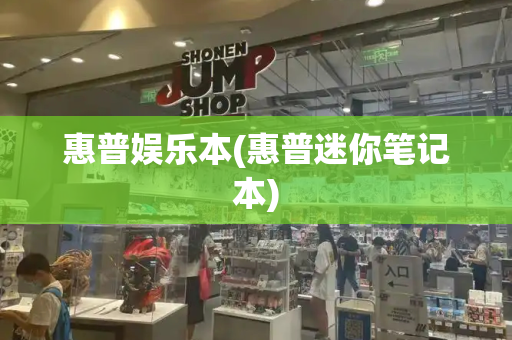 惠普娱乐本(惠普迷你笔记本)