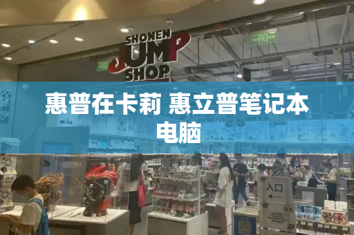惠普在卡莉 惠立普笔记本电脑-第1张图片-星选测评
