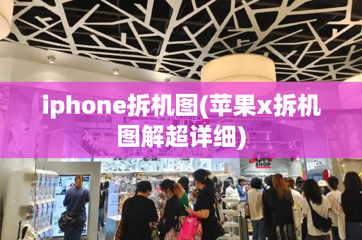 iphone拆机图(苹果x拆机图解超详细)-第1张图片-星选测评