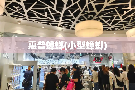 惠普蟑螂(小型蟑螂)