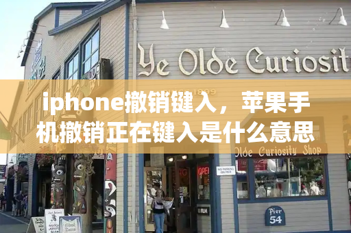 iphone撤销键入，苹果手机撤销正在键入是什么意思