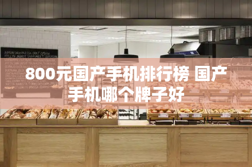 800元国产手机排行榜 国产手机哪个牌子好-第1张图片-星选测评