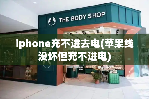 iphone充不进去电(苹果线没坏但充不进电)