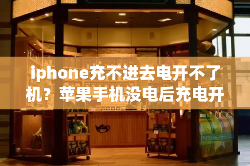 iphone充不进去电开不了机？苹果手机没电后充电开不了机-第1张图片-星选测评