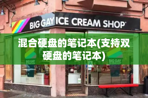 混合硬盘的笔记本(支持双硬盘的笔记本)