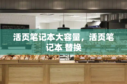 活页笔记本大容量，活页笔记本 替换