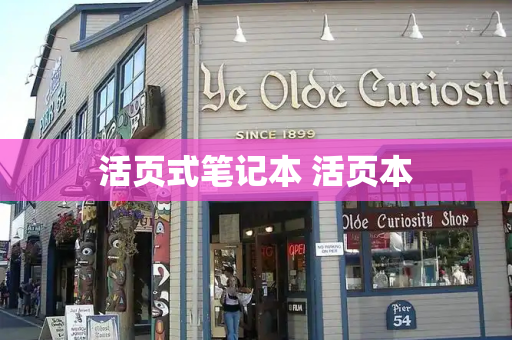 活页式笔记本 活页本-第1张图片-星选测评