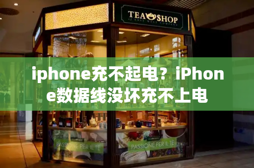 iphone充不起电？iPhone数据线没坏充不上电-第1张图片-星选测评