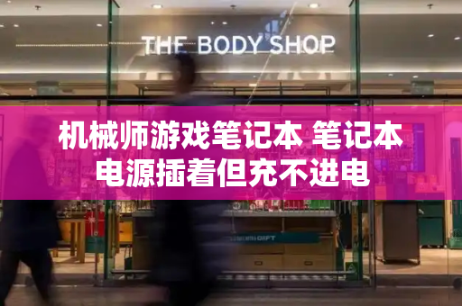 机械师游戏笔记本 笔记本电源插着但充不进电