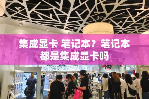 集成显卡 笔记本？笔记本都是集成显卡吗