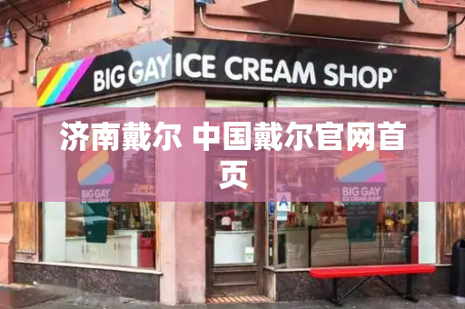 济南戴尔 中国戴尔官网首页-第1张图片-星选测评