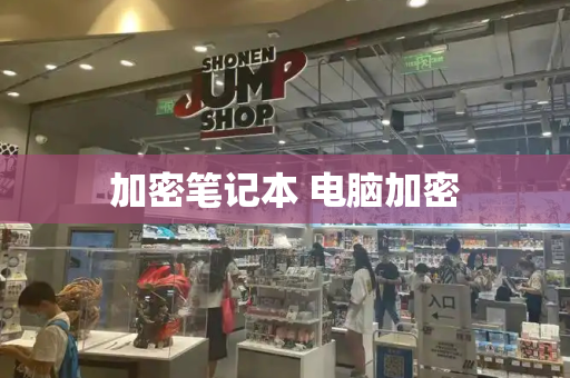 加密笔记本 电脑加密-第1张图片-星选测评