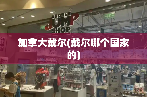 加拿大戴尔(戴尔哪个国家的)-第1张图片-星选测评