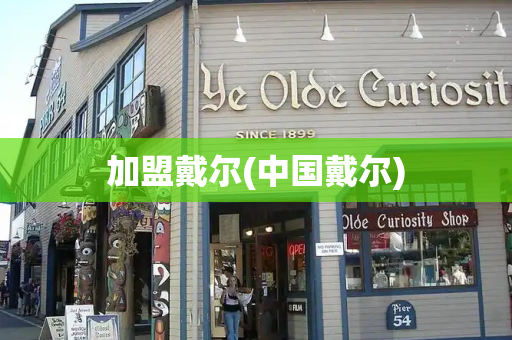 加盟戴尔(中国戴尔)