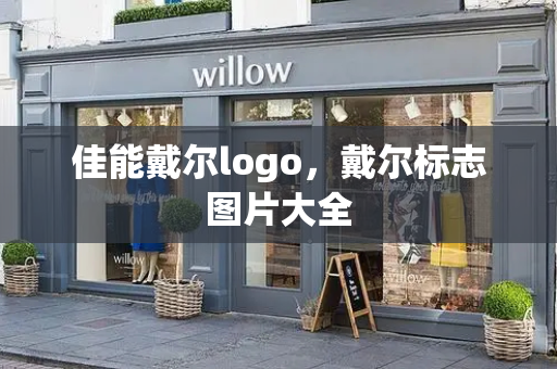 佳能戴尔logo，戴尔标志图片大全-第1张图片-星选测评