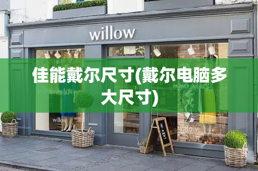 佳能戴尔尺寸(戴尔电脑多大尺寸)-第1张图片-星选测评