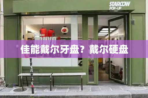 佳能戴尔牙盘？戴尔硬盘-第1张图片-星选测评