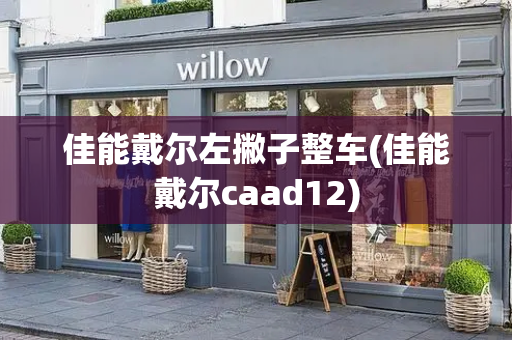 佳能戴尔左撇子整车(佳能戴尔caad12)