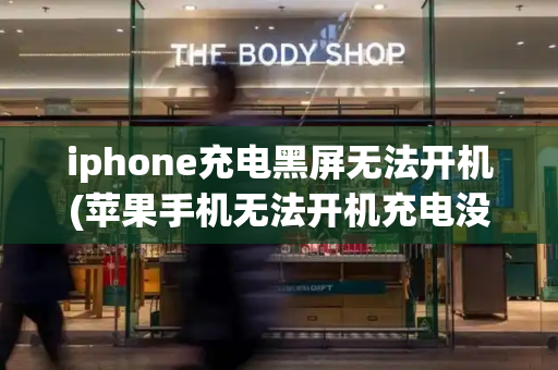 iphone充电黑屏无法开机(苹果手机无法开机充电没反应)-第1张图片-星选测评