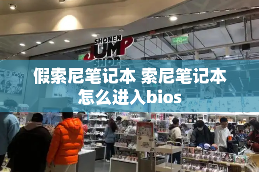 假索尼笔记本 索尼笔记本怎么进入bios