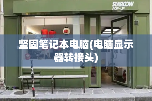 坚固笔记本电脑(电脑显示器转接头)-第1张图片-星选测评