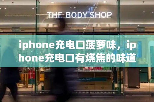 iphone充电口菠萝味，iphone充电口有烧焦的味道-第1张图片-星选测评