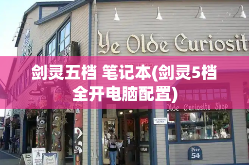 剑灵五档 笔记本(剑灵5档全开电脑配置)