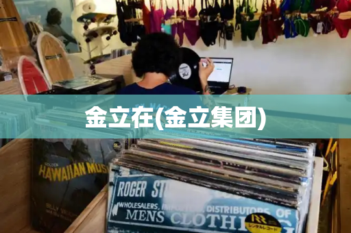金立在(金立集团)-第1张图片-星选测评