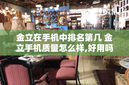 金立在手机中排名第几 金立手机质量怎么样,好用吗-第1张图片-星选测评