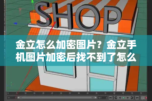 金立怎么加密图片？金立手机图片加密后找不到了怎么办-第1张图片-星选测评