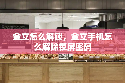 金立怎么解锁，金立手机怎么解除锁屏密码-第1张图片-星选测评
