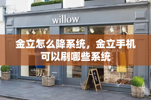 金立怎么降系统，金立手机可以刷哪些系统