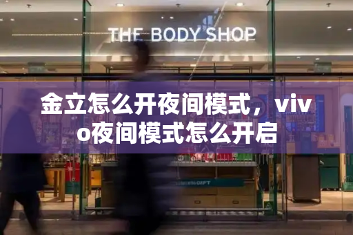 金立怎么开夜间模式，vivo夜间模式怎么开启-第1张图片-星选测评