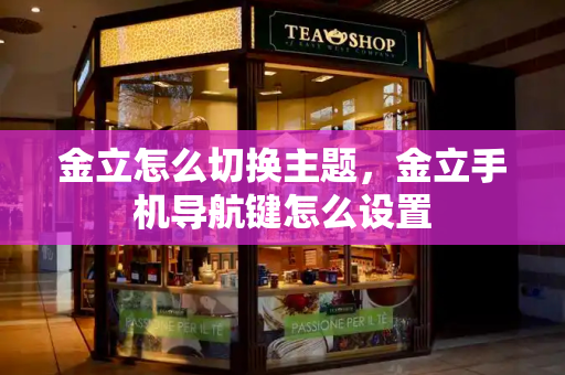 金立怎么切换主题，金立手机导航键怎么设置