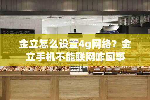 金立怎么设置4g网络？金立手机不能联网咋回事
