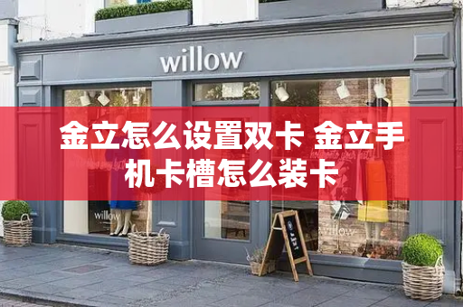 金立怎么设置双卡 金立手机卡槽怎么装卡-第1张图片-星选测评
