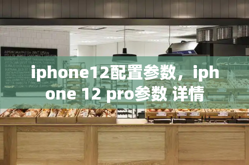 iphone12配置参数，iphone 12 pro参数 详情