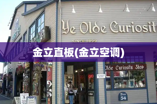 金立直板(金立空调)-第1张图片-星选测评