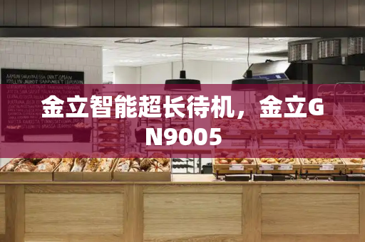 金立智能超长待机，金立GN9005-第1张图片-星选测评