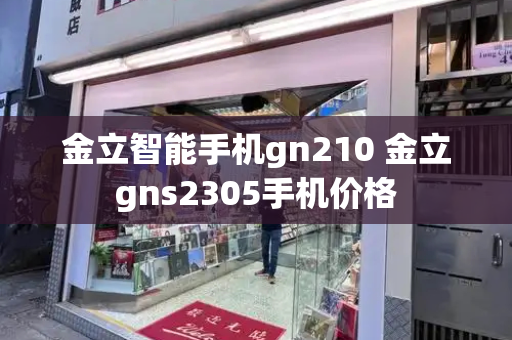 金立智能手机gn210 金立gns2305手机价格-第1张图片-星选测评