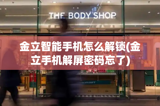 金立智能手机怎么解锁(金立手机解屏密码忘了)-第1张图片-星选测评
