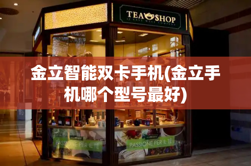 金立智能双卡手机(金立手机哪个型号最好)-第1张图片-星选测评